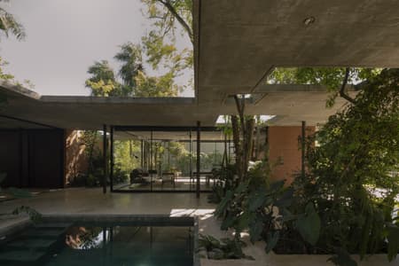 A Forest in the House